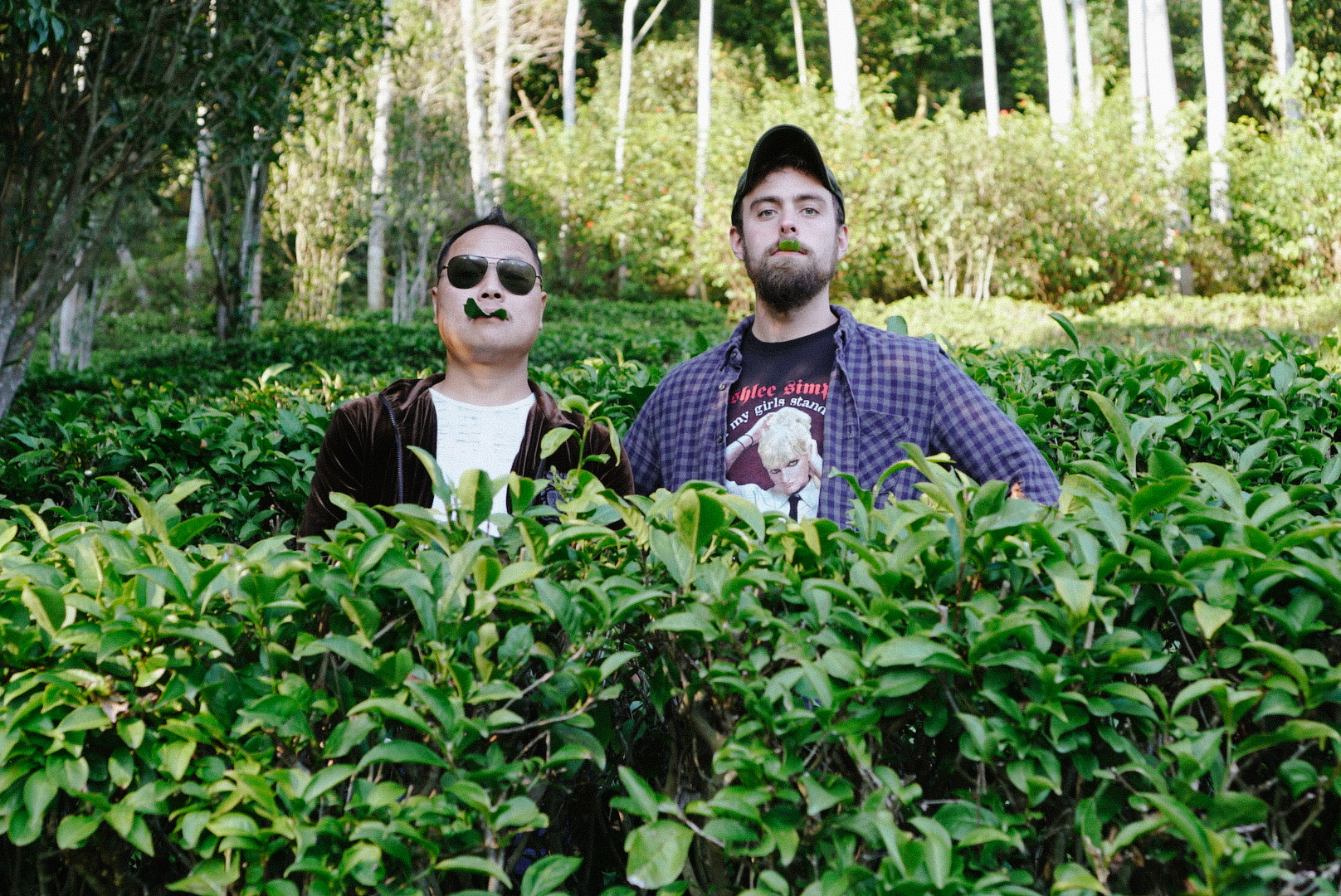 Eating the Tea Leaves